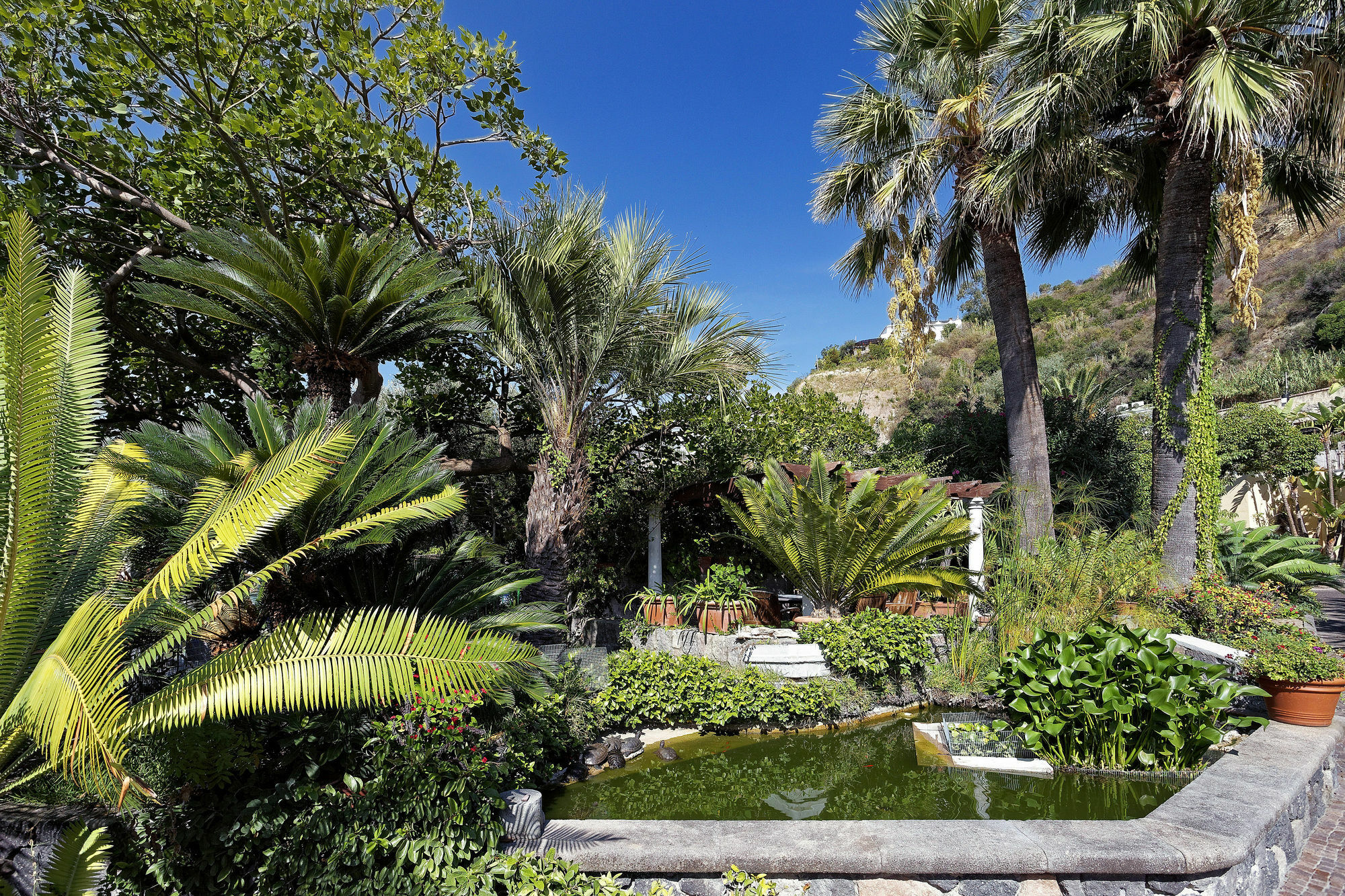 Hotel Parco Smeraldo Terme Barano dʼIschia Kültér fotó